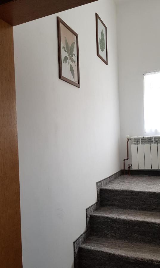 Apartament Tarnow-Moscice Przy Moscie Exterior photo